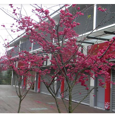 Miaoli Sanyi Shantongyazhu Homestay Exterior photo